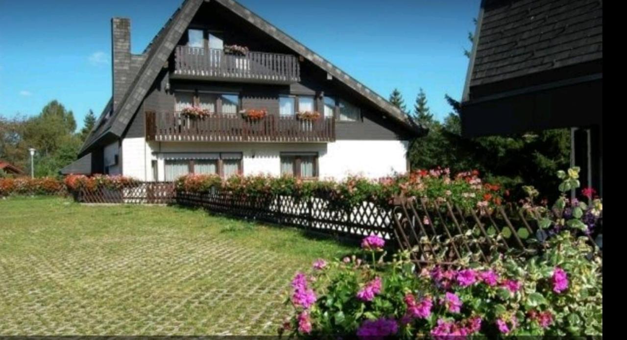 Ferienhaus-Schoenwald Im Herzen Des Schwarzwaldes 1Zimmer Wohnung Mit Terrasse App17 Eksteriør bilde