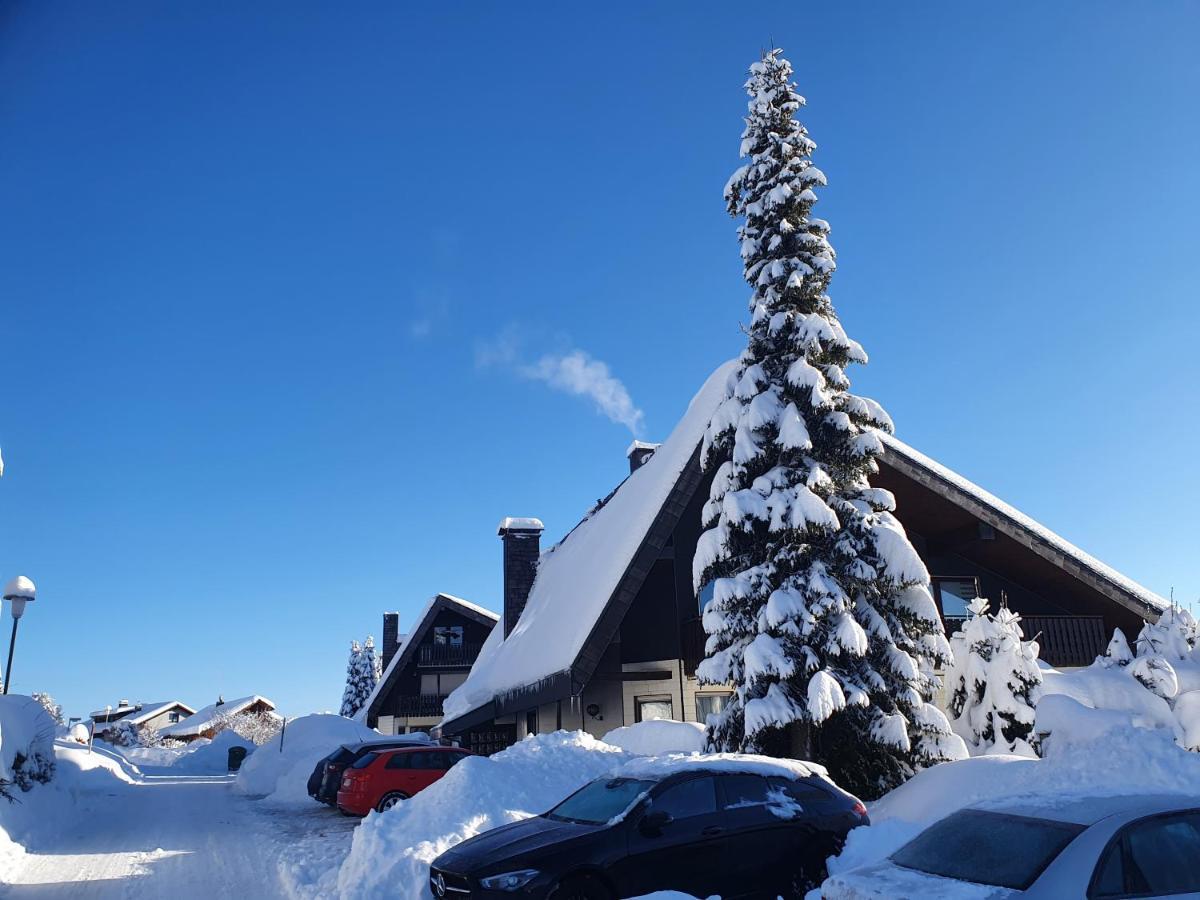 Ferienhaus-Schoenwald Im Herzen Des Schwarzwaldes 1Zimmer Wohnung Mit Terrasse App17 Eksteriør bilde