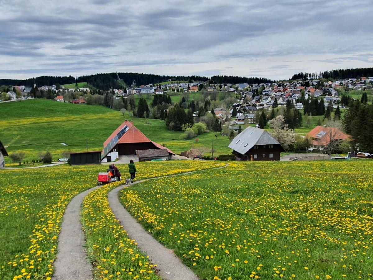 Ferienhaus-Schoenwald Im Herzen Des Schwarzwaldes 1Zimmer Wohnung Mit Terrasse App17 Eksteriør bilde