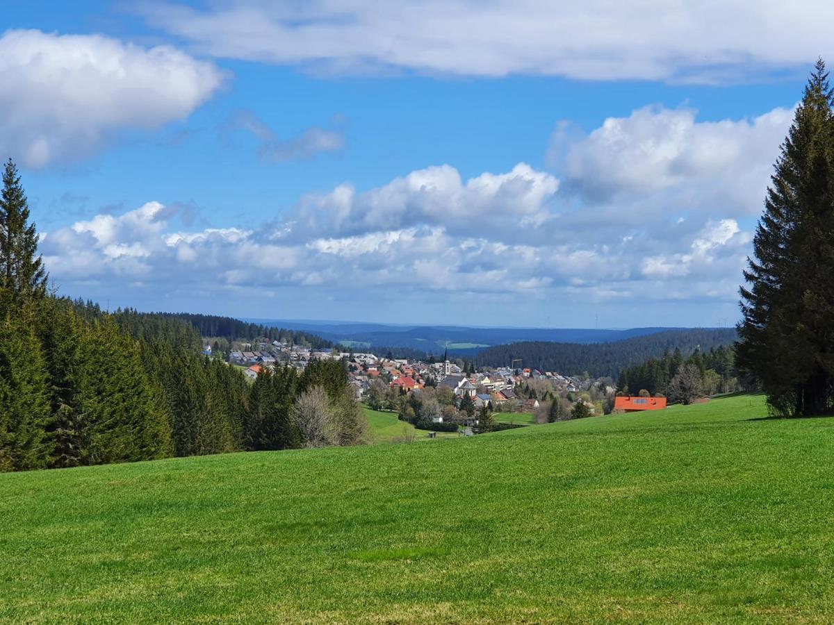 Ferienhaus-Schoenwald Im Herzen Des Schwarzwaldes 1Zimmer Wohnung Mit Terrasse App17 Eksteriør bilde